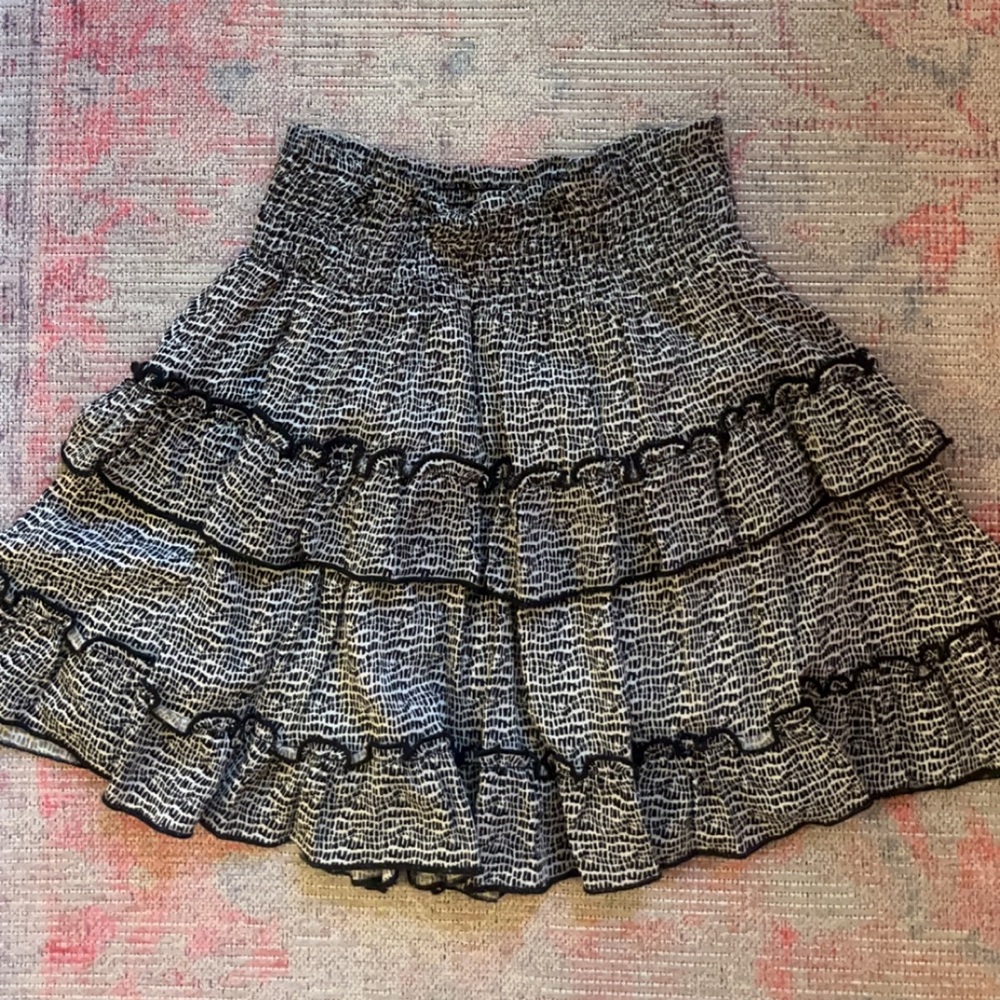 Altrd state skirt